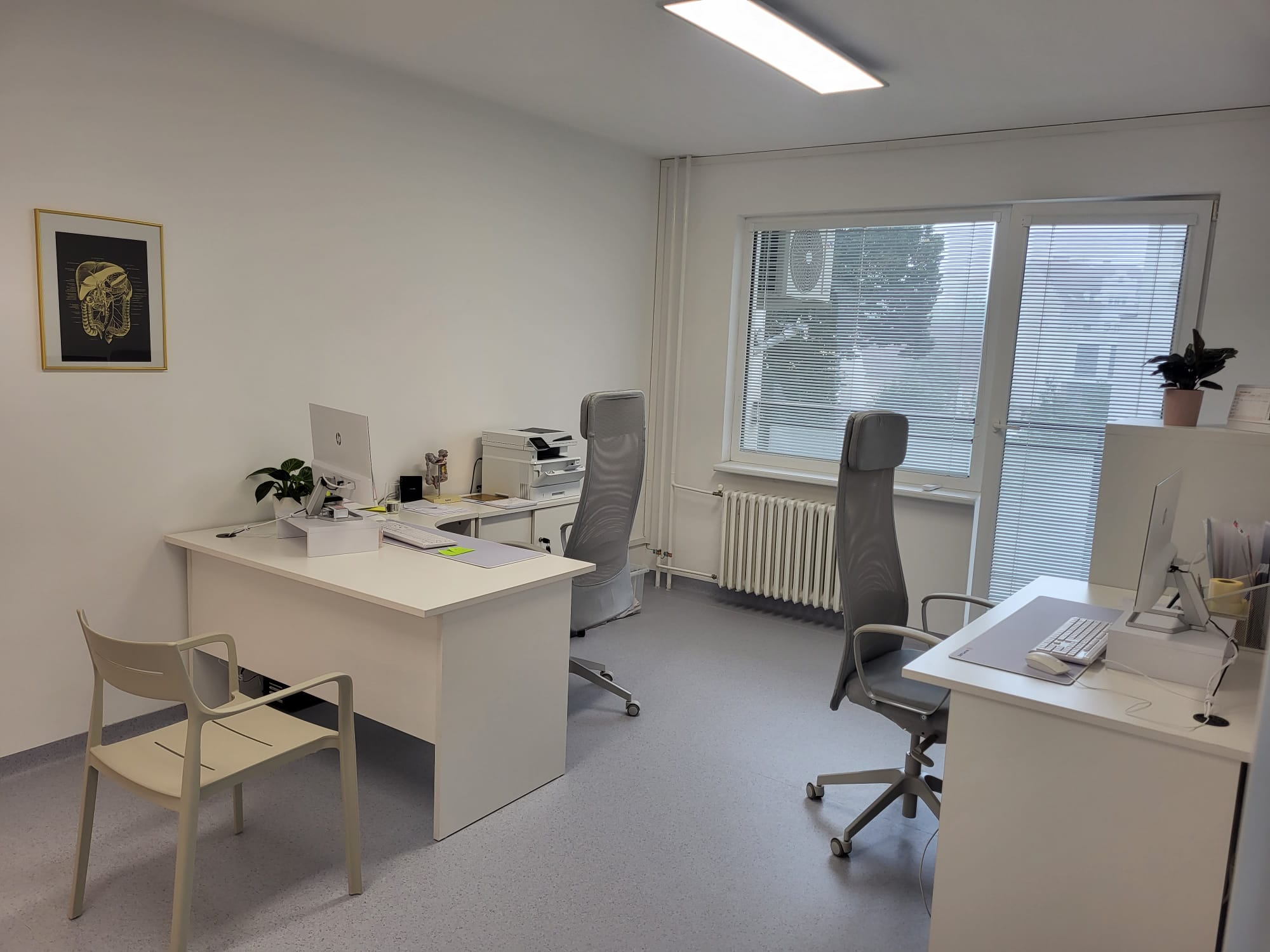 Ordinácia gastroenterológa v Žiline - konzultácie pred gastroskopiu a kolonoskopiu